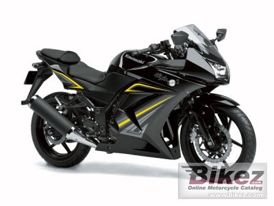 2013 Kawasaki Ninja 250R photo